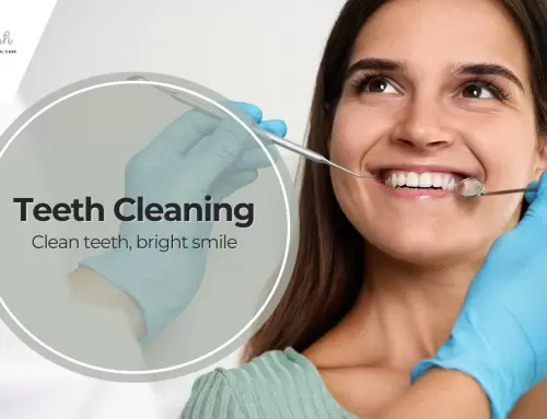 Teeth Cleaning at Minty Fresh Miami: Understanding the Difference Between Prophylaxis and Regular Cleanings