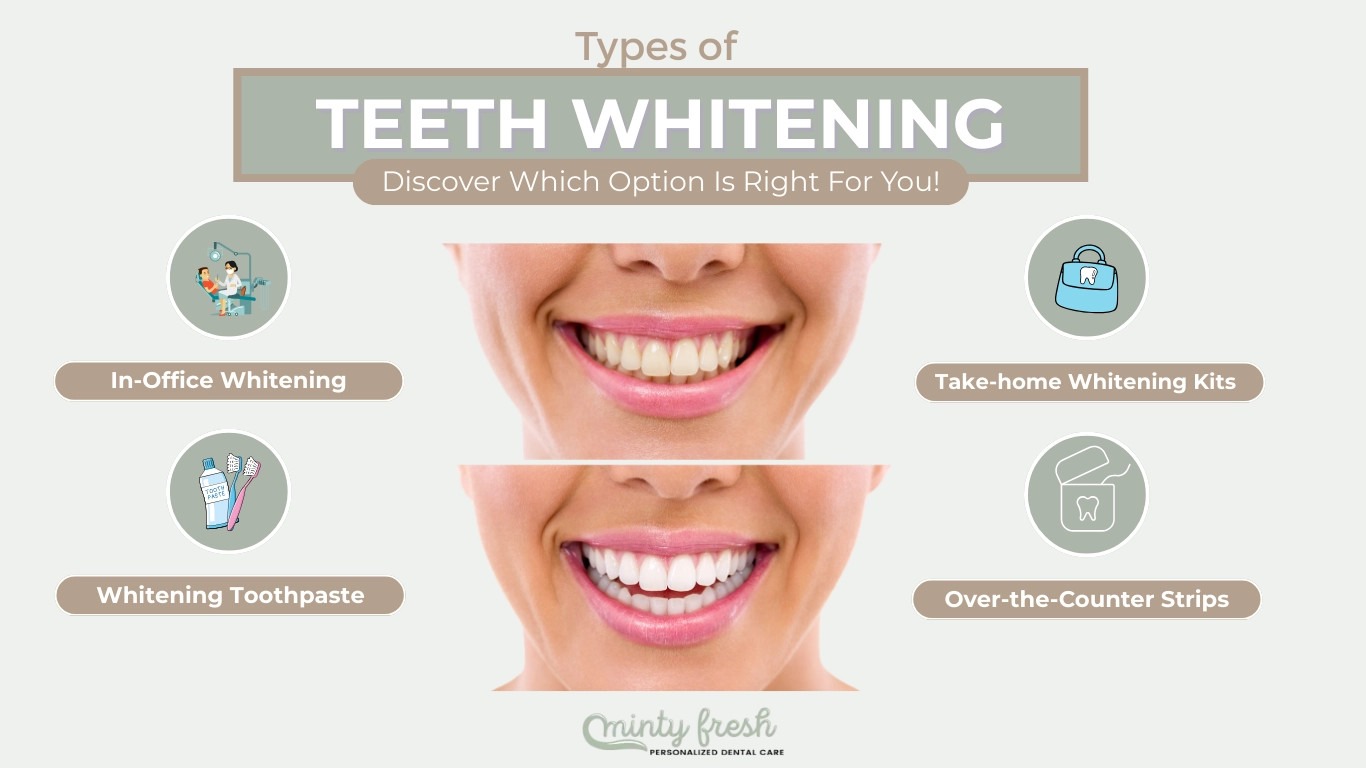 Minty Fresh-Types of teeth